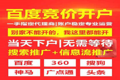 百度推广公司案例解析：如何通过百度推广实现品牌升级